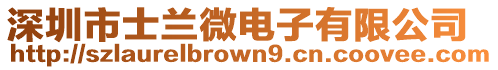 深圳市士蘭微電子有限公司