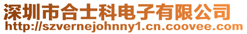 深圳市合士科電子有限公司