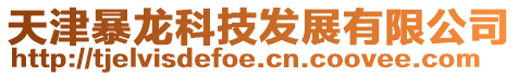 天津暴龍科技發(fā)展有限公司