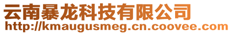 云南暴龍科技有限公司