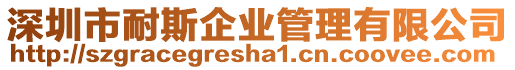 深圳市耐斯企業管理有限公司