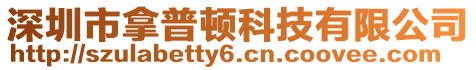 深圳市拿普頓科技有限公司