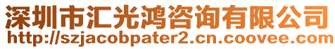 深圳市匯光鴻咨詢有限公司