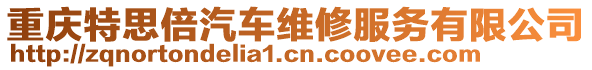 重慶特思倍汽車維修服務有限公司