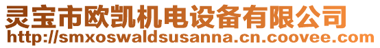 靈寶市歐凱機電設備有限公司
