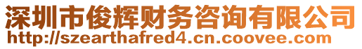 深圳市俊輝財務咨詢有限公司