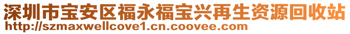 深圳市寶安區(qū)福永福寶興再生資源回收站