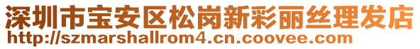 深圳市寶安區(qū)松崗新彩麗絲理發(fā)店