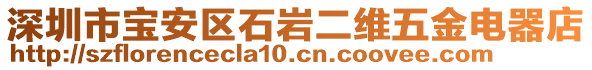 深圳市寶安區(qū)石巖二維五金電器店