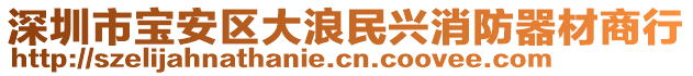 深圳市寶安區(qū)大浪民興消防器材商行