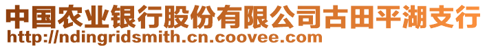 中國(guó)農(nóng)業(yè)銀行股份有限公司古田平湖支行