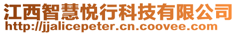 江西智慧悅行科技有限公司