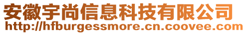 安徽宇尚信息科技有限公司