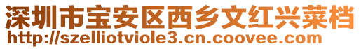 深圳市寶安區西鄉文紅興菜檔