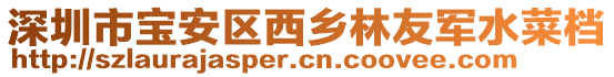 深圳市寶安區西鄉林友軍水菜檔