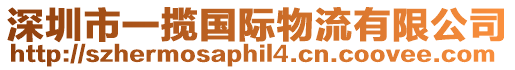 深圳市一攬國際物流有限公司