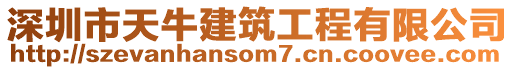 深圳市天牛建筑工程有限公司