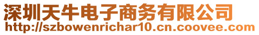 深圳天牛電子商務有限公司