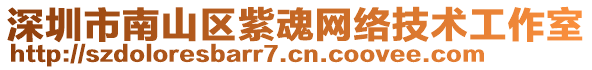 深圳市南山區(qū)紫魂網絡技術工作室
