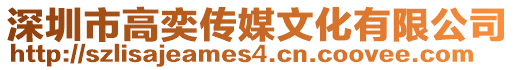 深圳市高奕傳媒文化有限公司