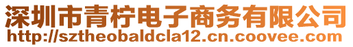 深圳市青檸電子商務(wù)有限公司