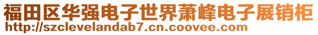 福田區(qū)華強電子世界蕭峰電子展銷柜