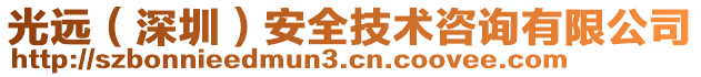 光遠(yuǎn)(深圳)安全技術(shù)咨詢有限公司