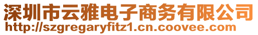 深圳市云雅電子商務(wù)有限公司