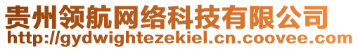 貴州領(lǐng)航網(wǎng)絡(luò)科技有限公司