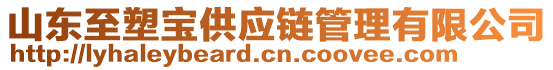 山東至塑寶供應(yīng)鏈管理有限公司