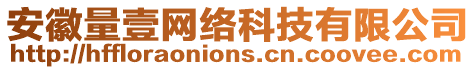 安徽量壹網(wǎng)絡(luò)科技有限公司