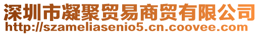 深圳市凝聚貿(mào)易商貿(mào)有限公司