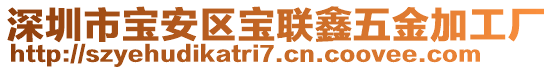深圳市寶安區(qū)寶聯(lián)鑫五金加工廠