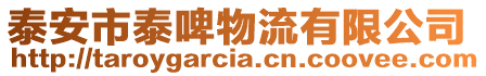 泰安市泰啤物流有限公司