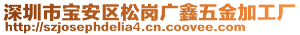 深圳市寶安區松崗廣鑫五金加工廠