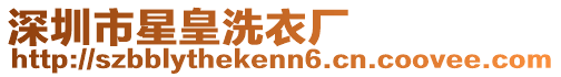 深圳市星皇洗衣廠