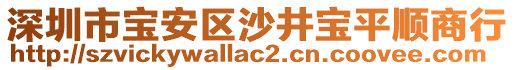 深圳市寶安區(qū)沙井寶平順商行