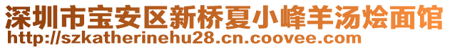 深圳市寶安區新橋夏小峰羊湯燴面館
