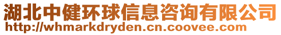 湖北中健環(huán)球信息咨詢有限公司