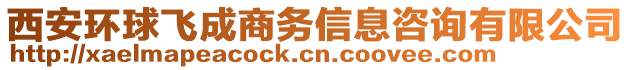 西安環(huán)球飛成商務(wù)信息咨詢有限公司