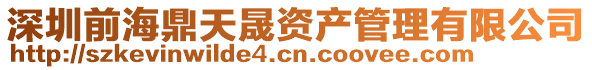 深圳前海鼎天晟資產管理有限公司