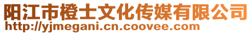 陽江市橙士文化傳媒有限公司