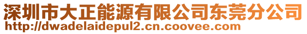 深圳市大正能源有限公司東莞分公司