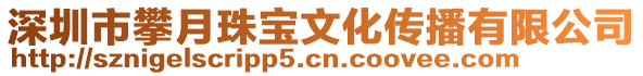 深圳市攀月珠寶文化傳播有限公司