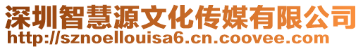 深圳智慧源文化傳媒有限公司