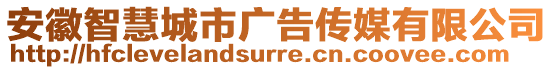 安徽智慧城市廣告?zhèn)髅接邢薰? style=