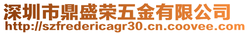 深圳市鼎盛榮五金有限公司