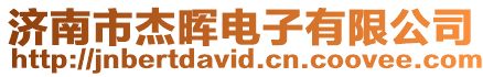 濟南市杰暉電子有限公司