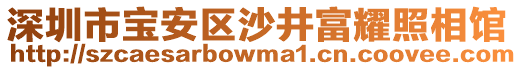 深圳市寶安區(qū)沙井富耀照相館