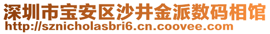 深圳市寶安區(qū)沙井金派數(shù)碼相館